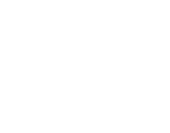Wagyu 12 MESES