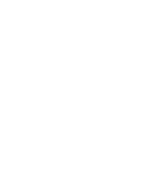 Wagyu 24 MESES